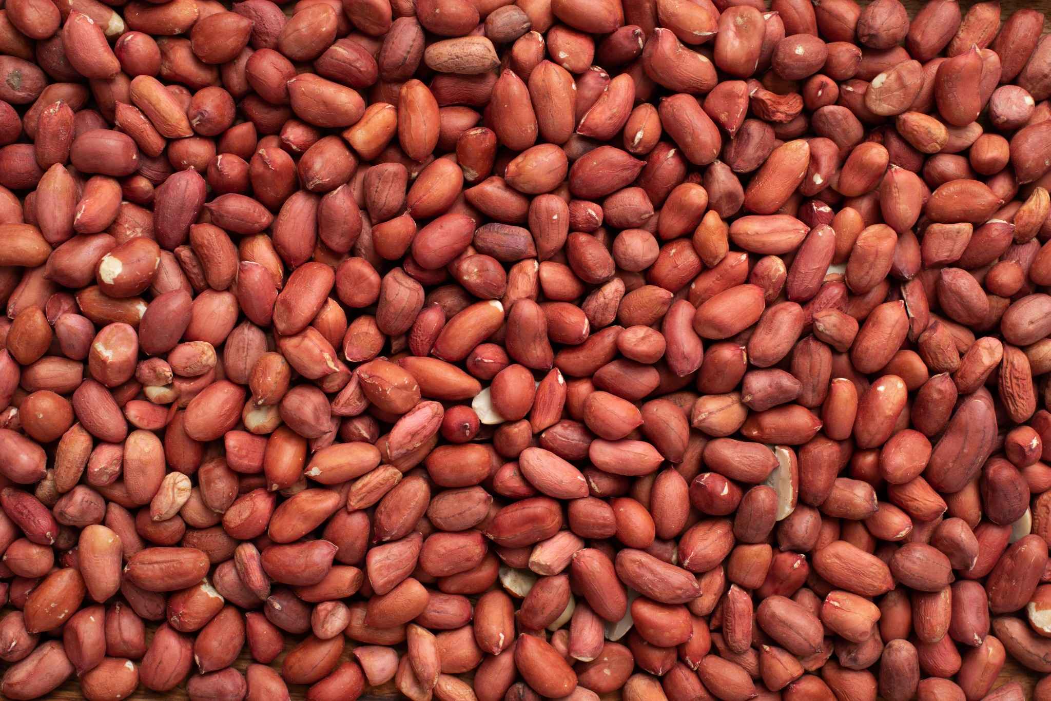 Groundnut Seeds